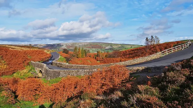 2013 Cogden Bridge